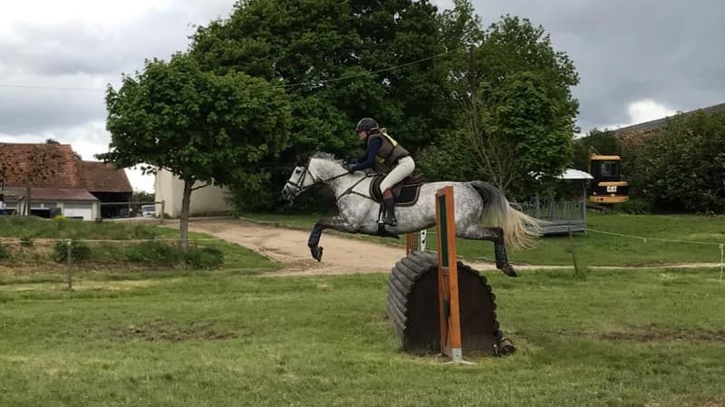 centres-equestres-la-ferte-saint-aubin-poney-club-de-vinauger-obstacle3