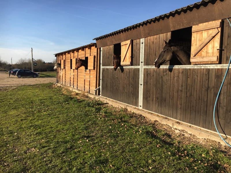 centres-equestres-la-ferte-saint-aubin-poney-club-de-vinauger
