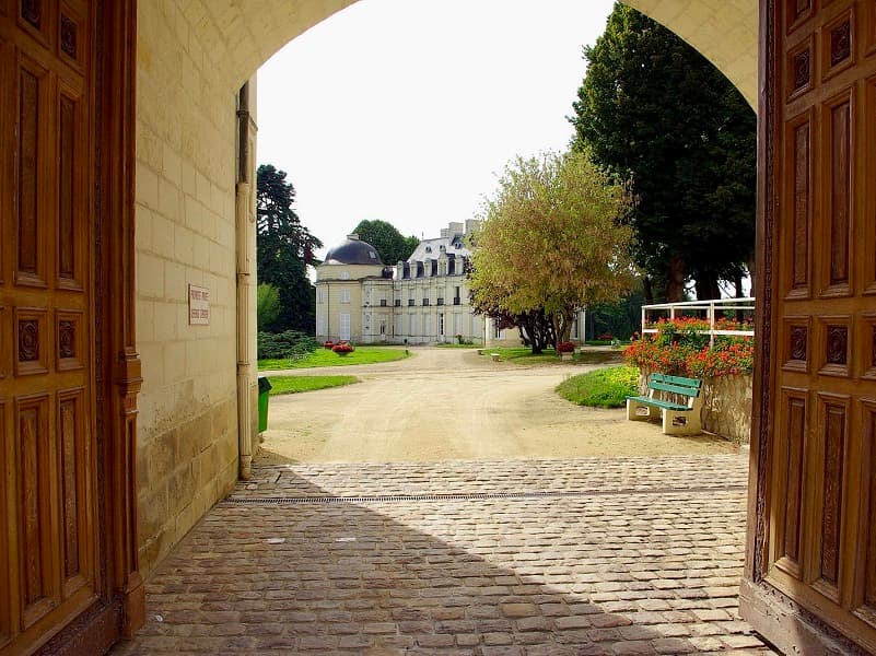 Chateau royal de Benays - Benais