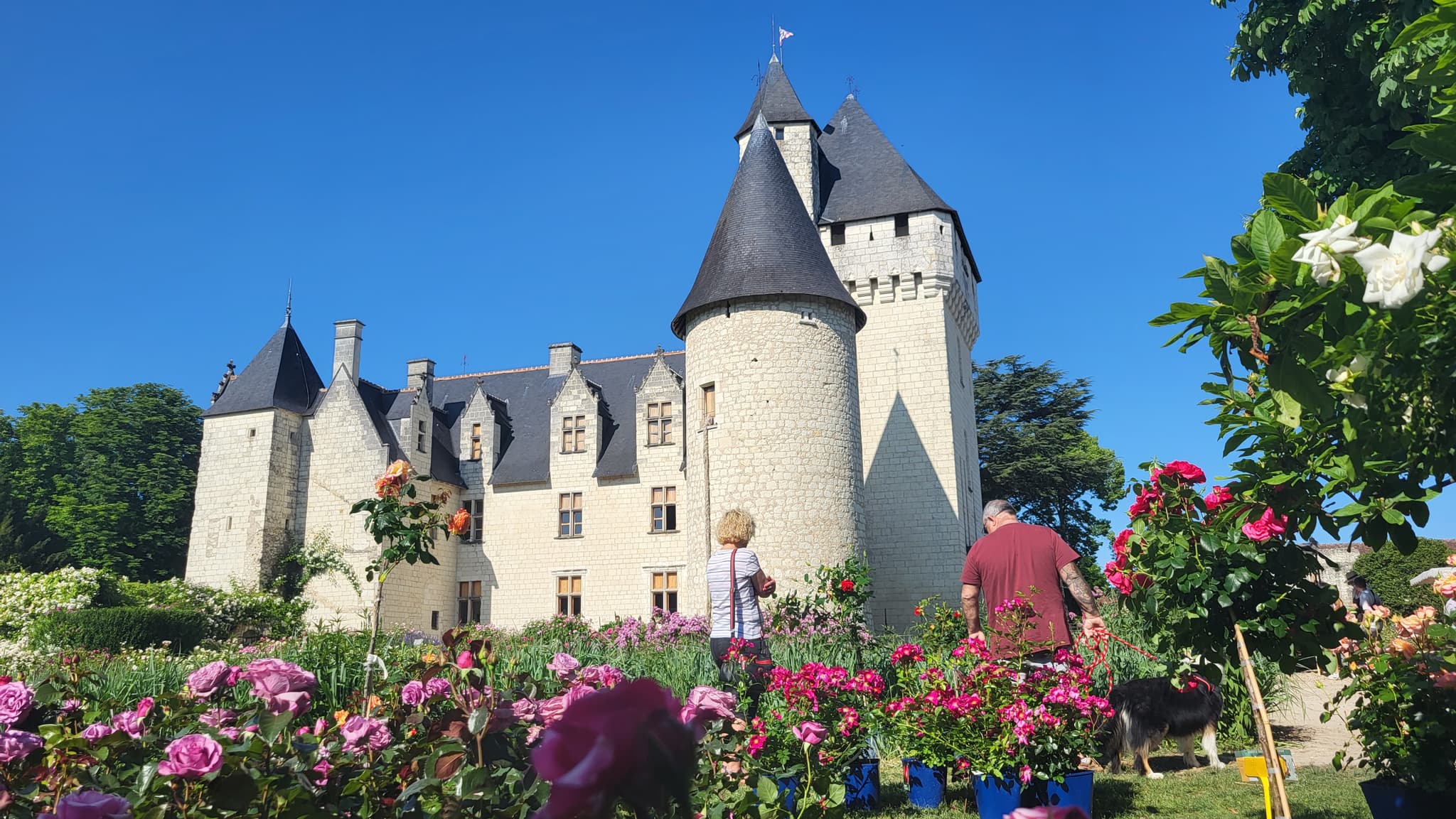 chateaudurivau_fetedesroses_vuechateau (13)