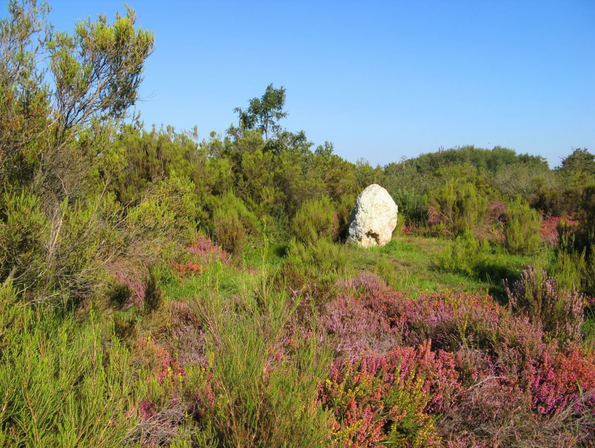 Camp des Romains - Cinais