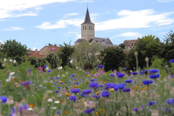 Collegiale Saint Georges - Faye la Vineuse