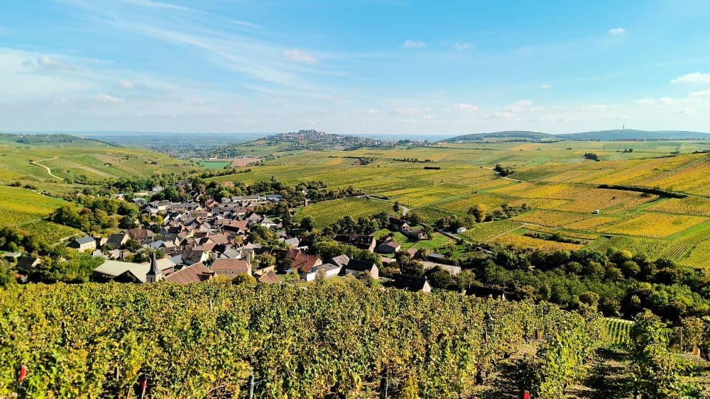depuis Chavignol Sancerre