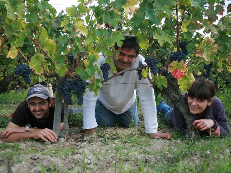 Domaine de la Chevalerie - Restigné - AOC bourgueil