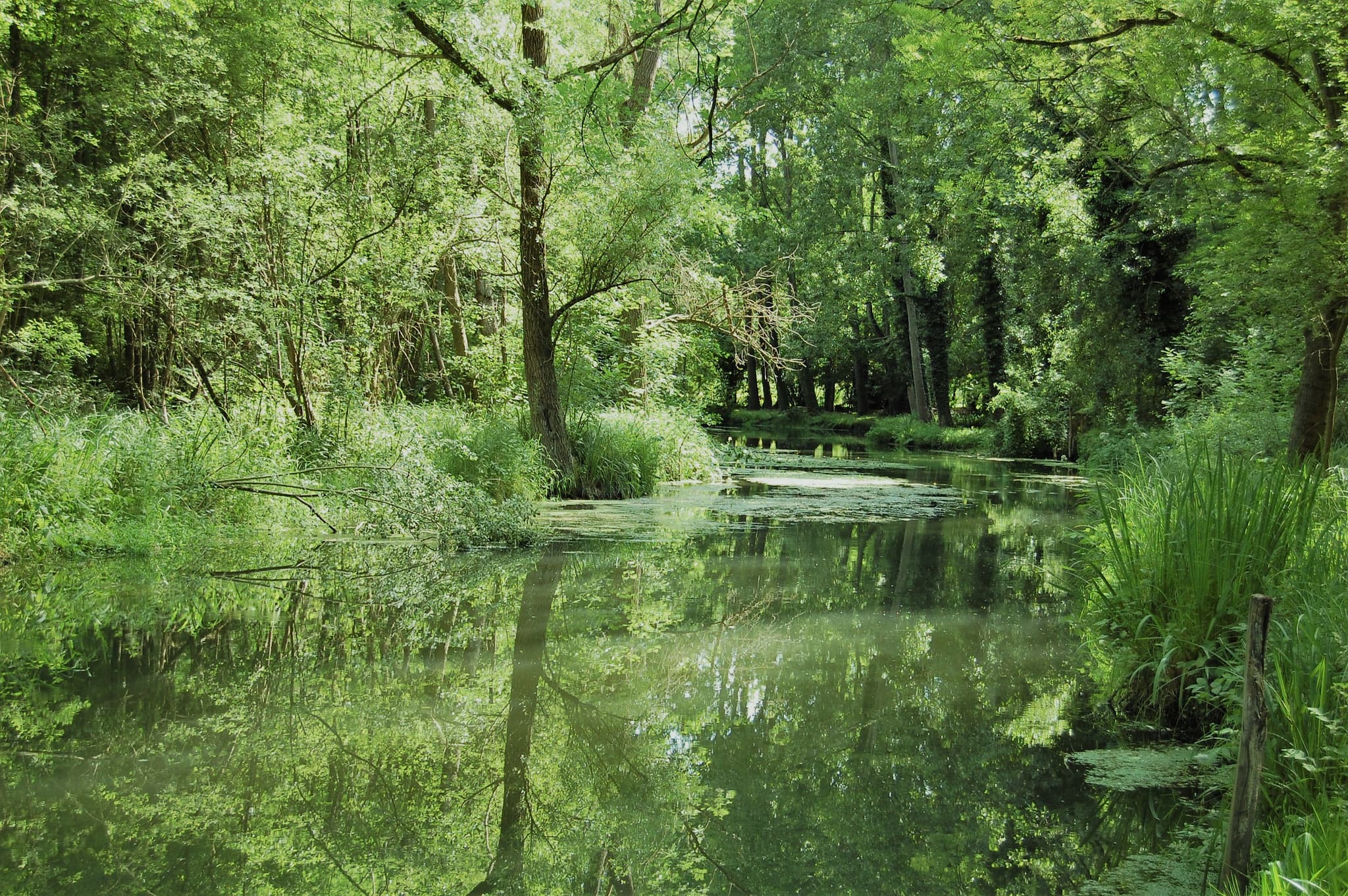 Vallée de l'Essonne