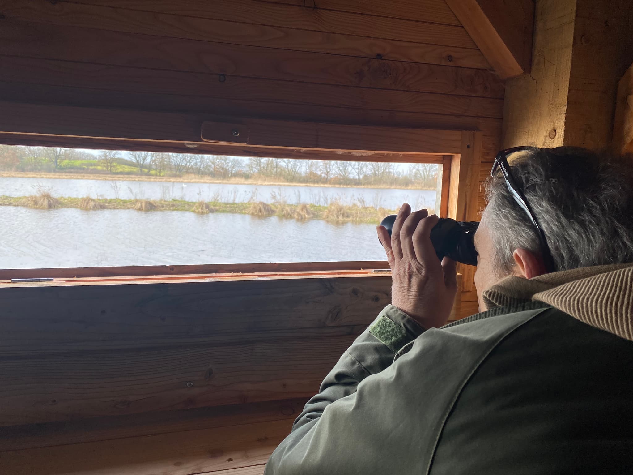 Observation oiseaux