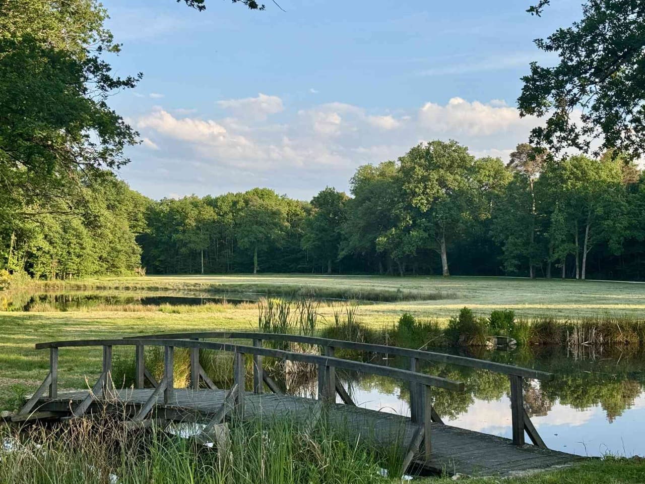 etang face restaurant