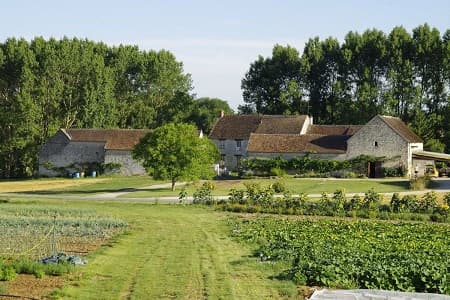 ferme des plaines7