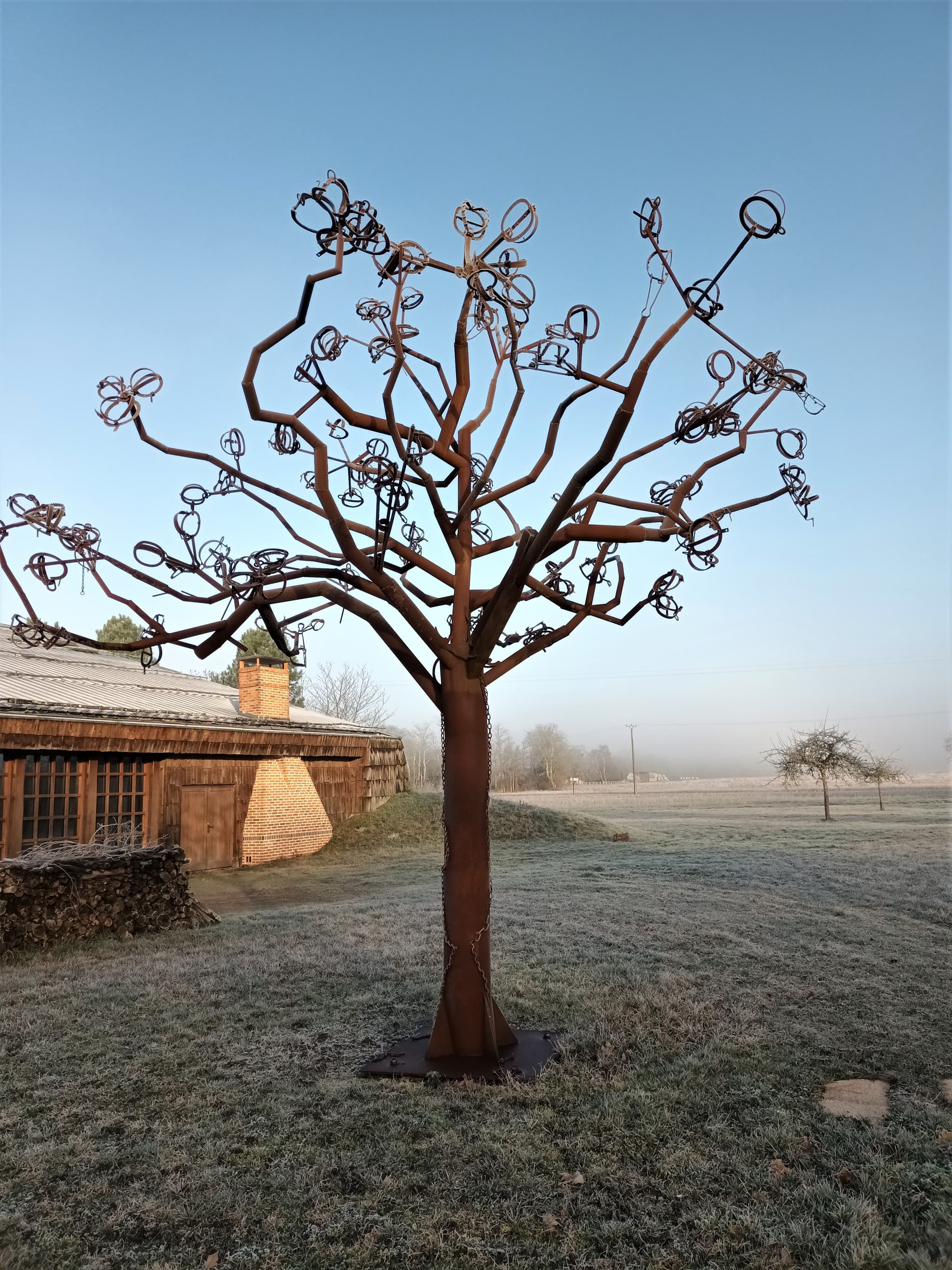 l'arbre à pièges