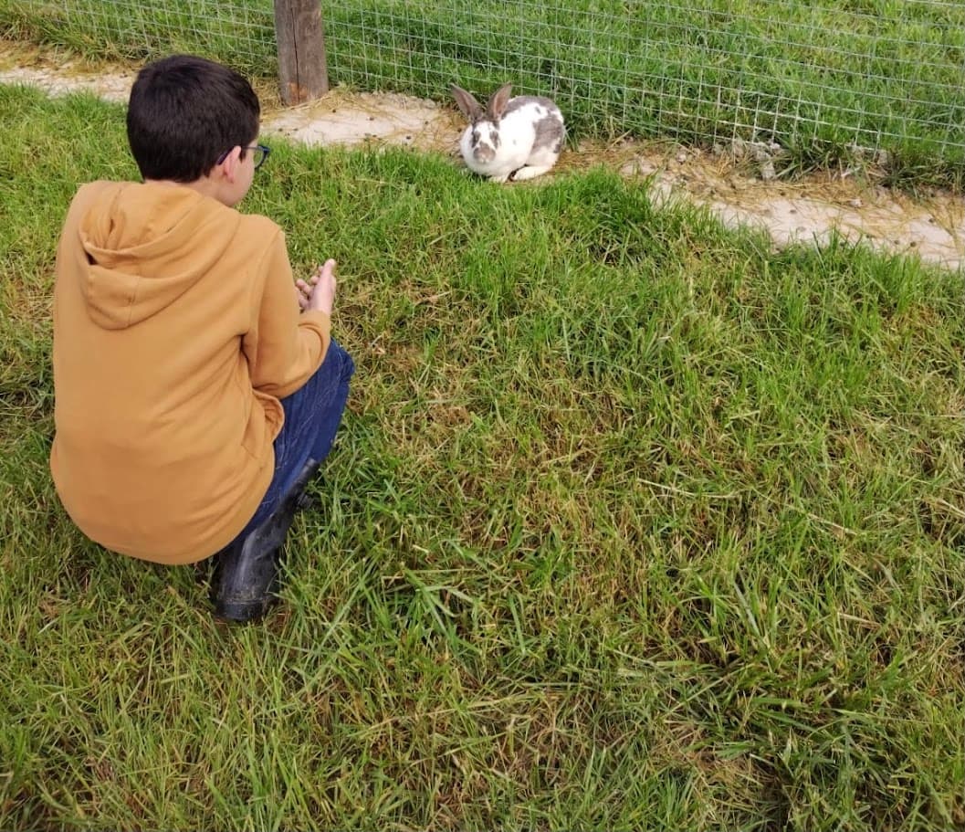 lapin eleve