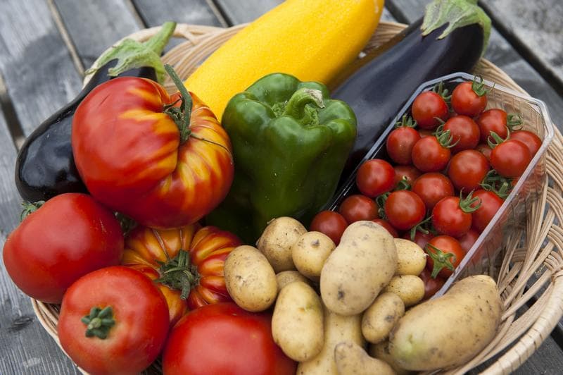 legumes-3