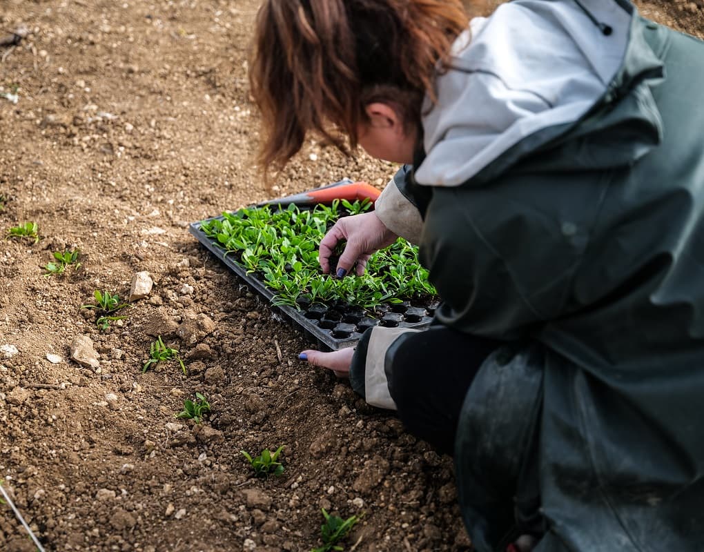 les jardins de la voie romaine morailles