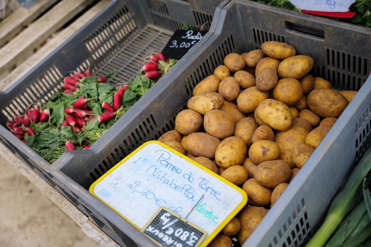 les jardins de la voie romaine patate