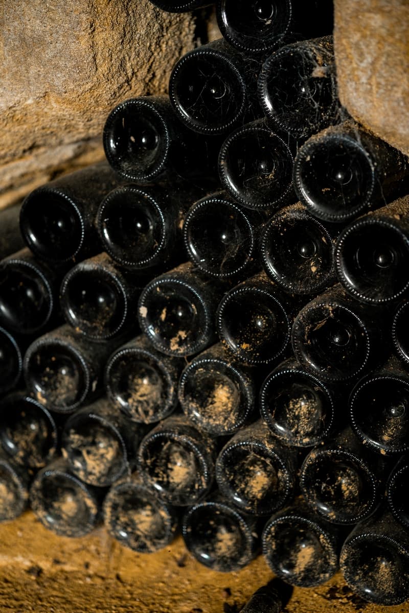 Panzoult - Domaine Grosbois - maison-vinepicure-2061