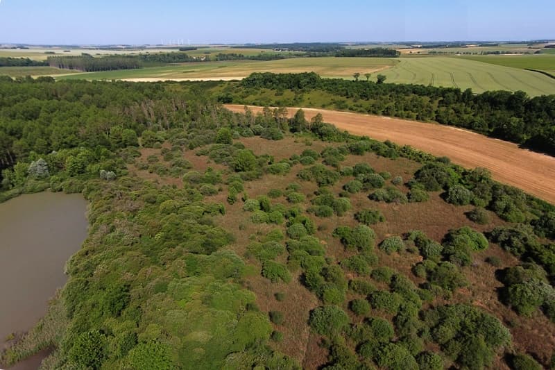 Pelouses et marais de Roussy