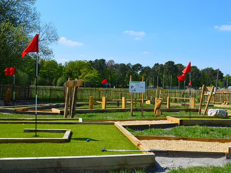 Minigolf des oiseaux - Rillé