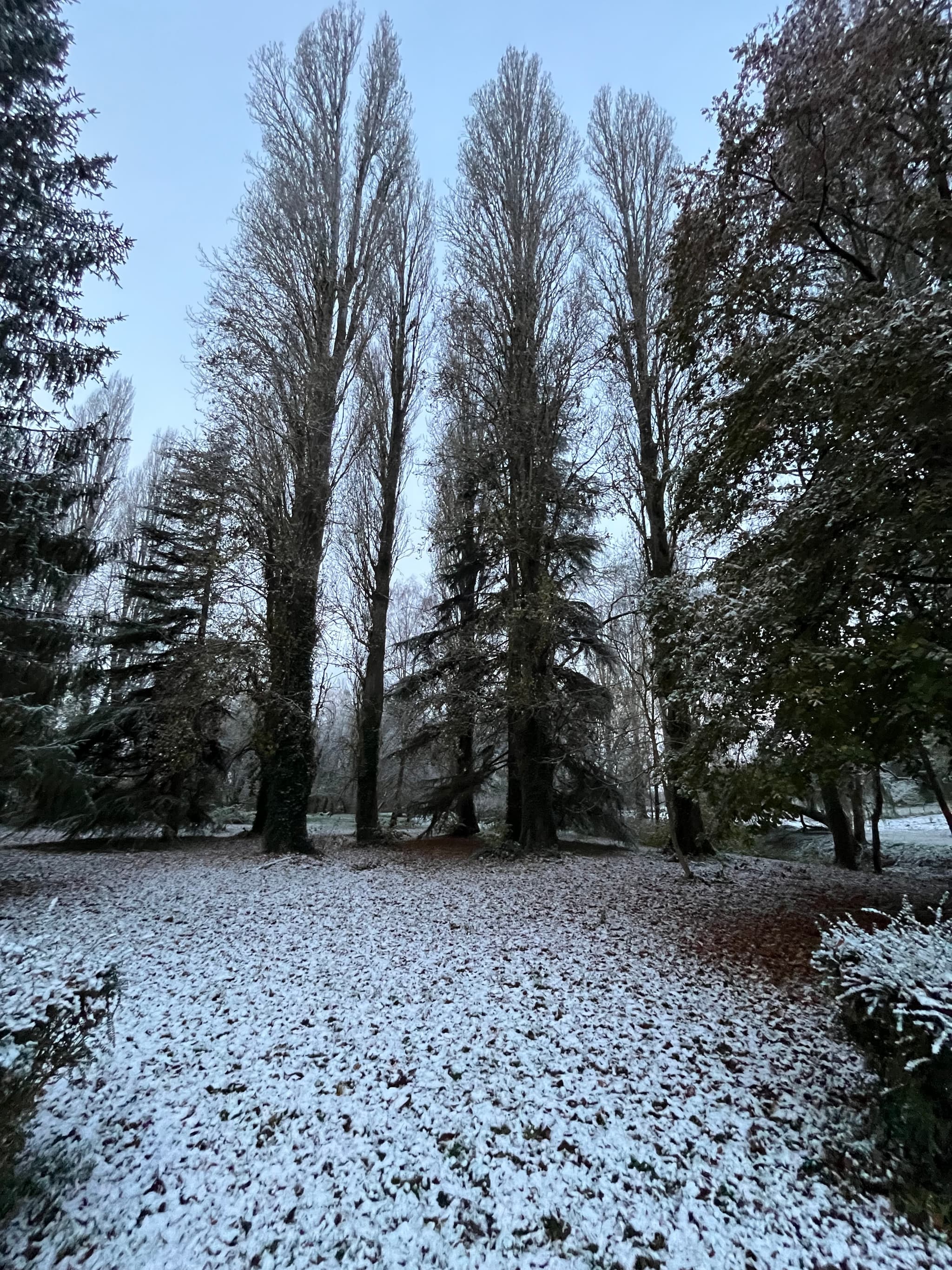 neige sur l'ile