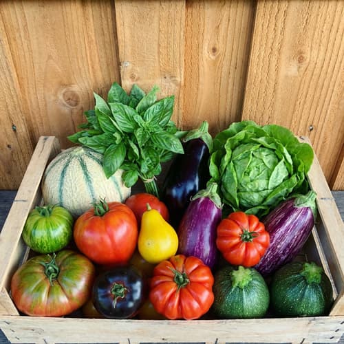 panier-ete