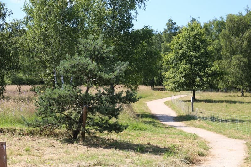 parc-ardon-les-dolines-de-limere-sentier