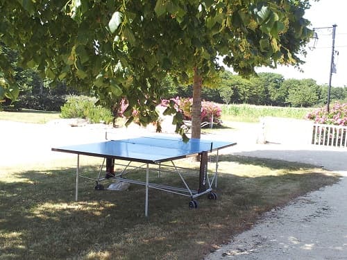 Dammarie en Puisaye -Gîte -ping_pong