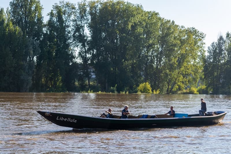 pirogue-Libellule