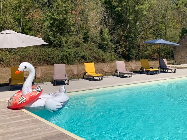 piscine exterieure ext cygne 2