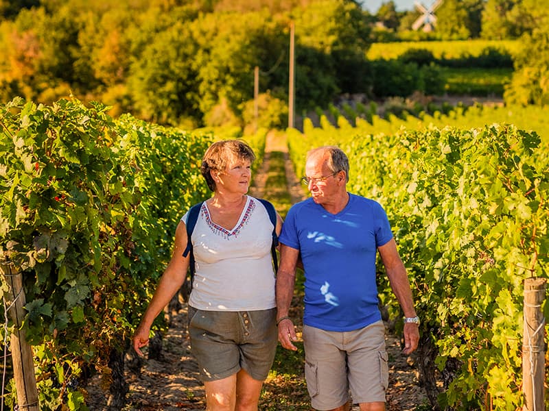 rando_Bourgueil_Credit_ADT_Touraine_JC_Coutand_2029
