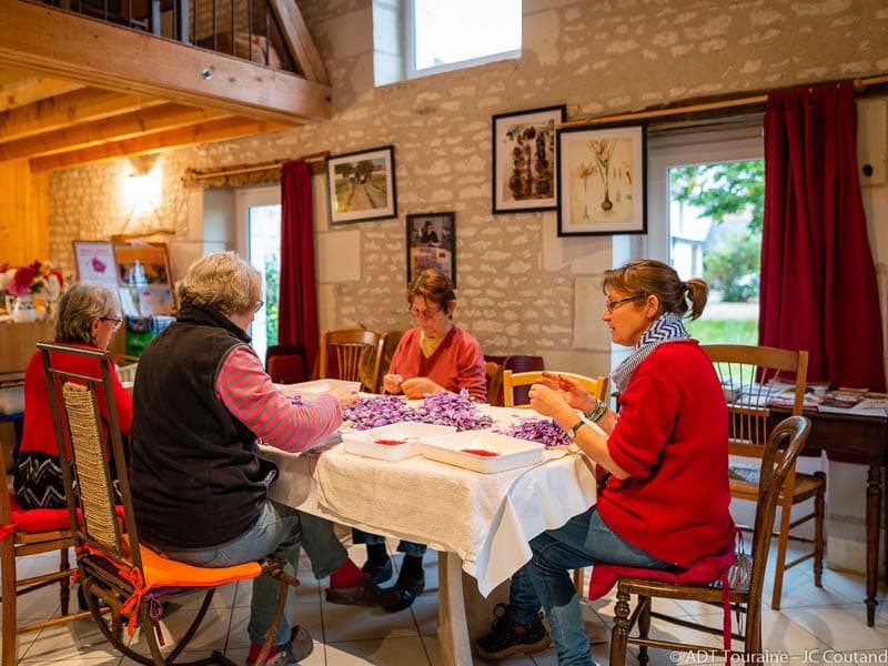 Safran de Val / La Tour-Saint-Gelin