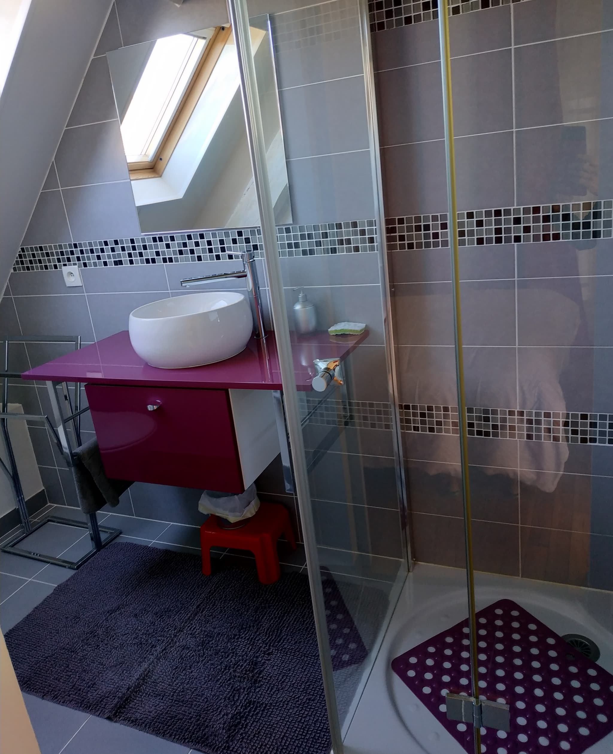 Dammarie en Puisaye -Gîte -salle deau_framboise