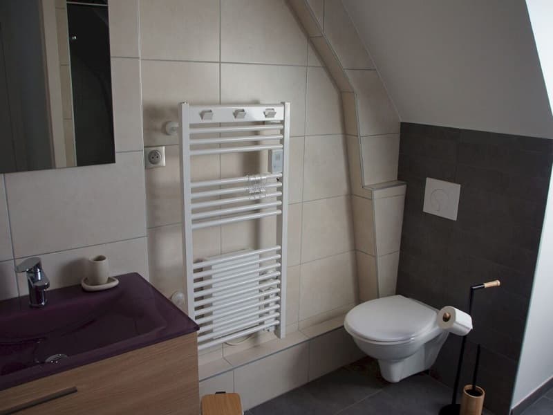 Chambre salsepareille - salle de bains