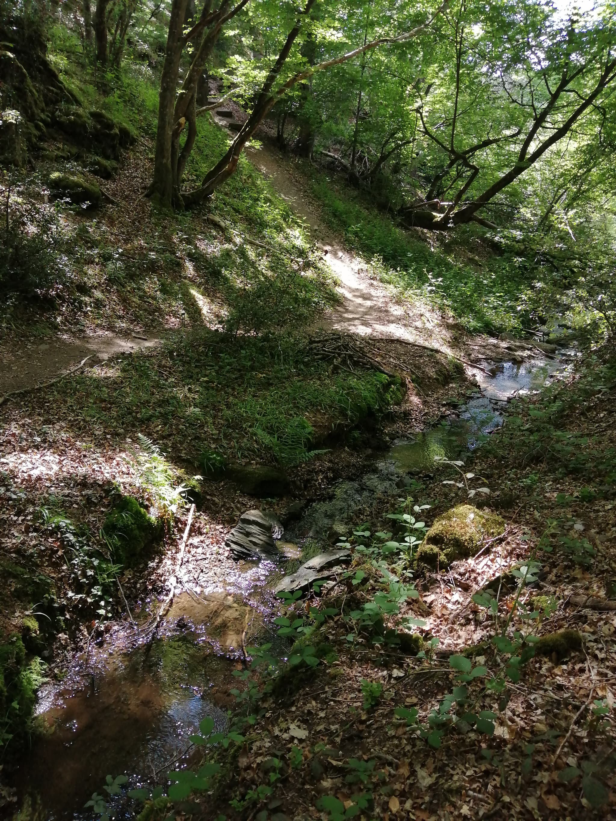 sidiailles 1
