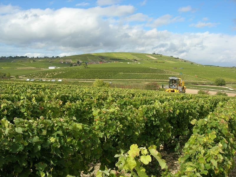 vendanges-vauvelle-red