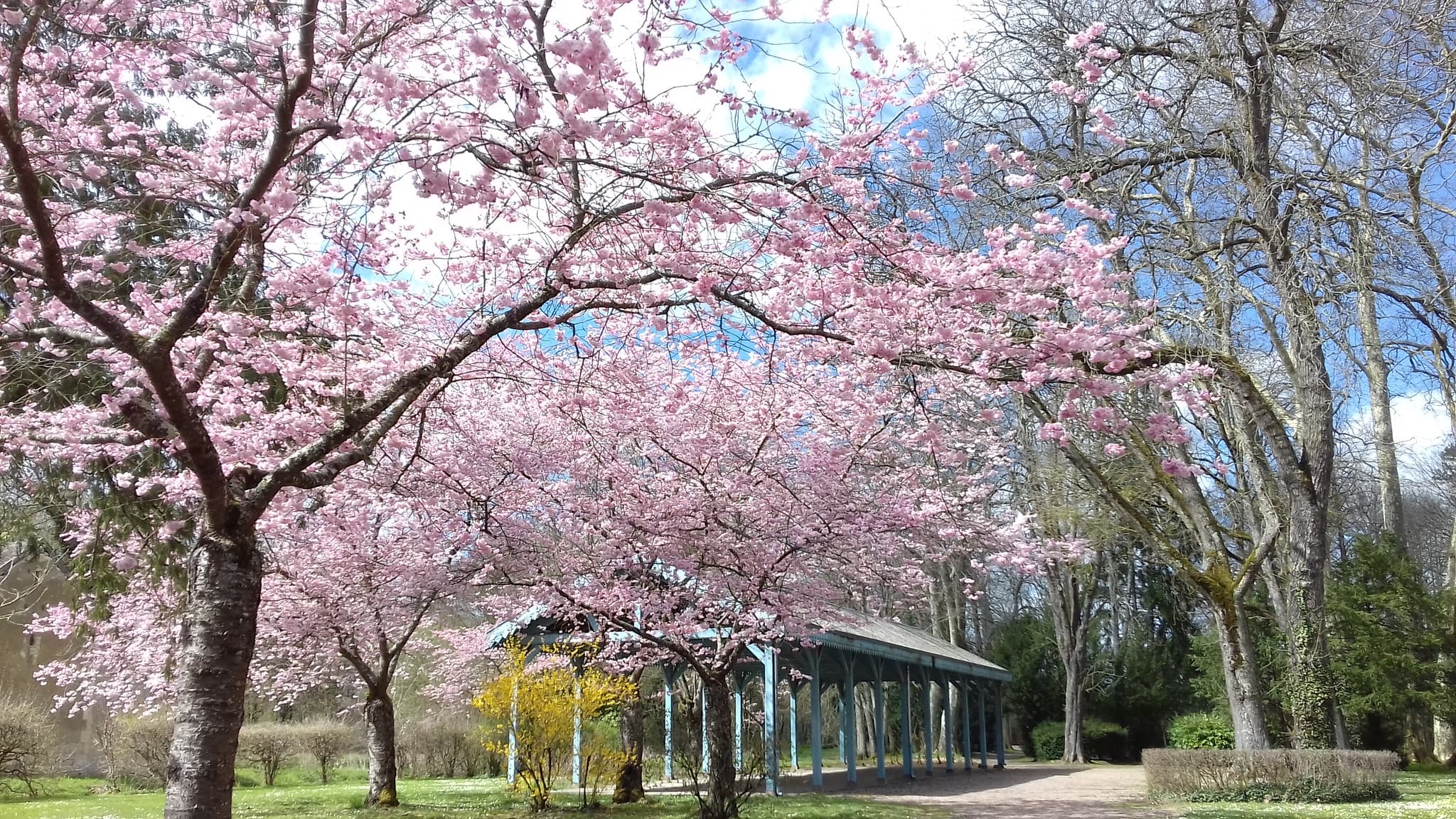 Parc St Léger