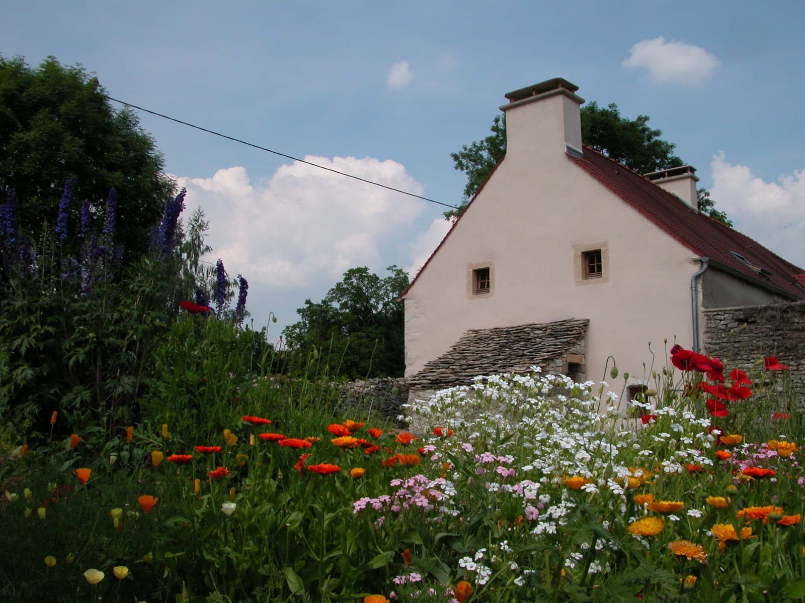 01-les fleurs du jardin-c clos orret alj-01