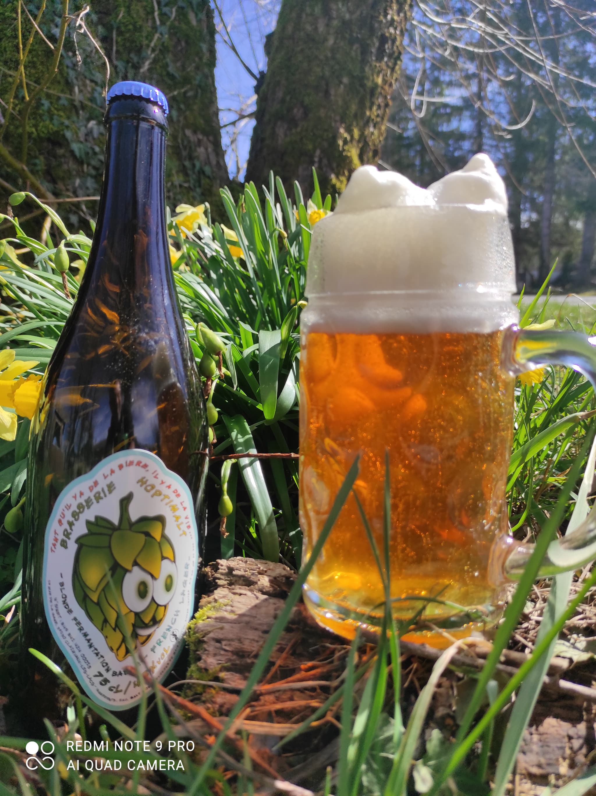 French Lager