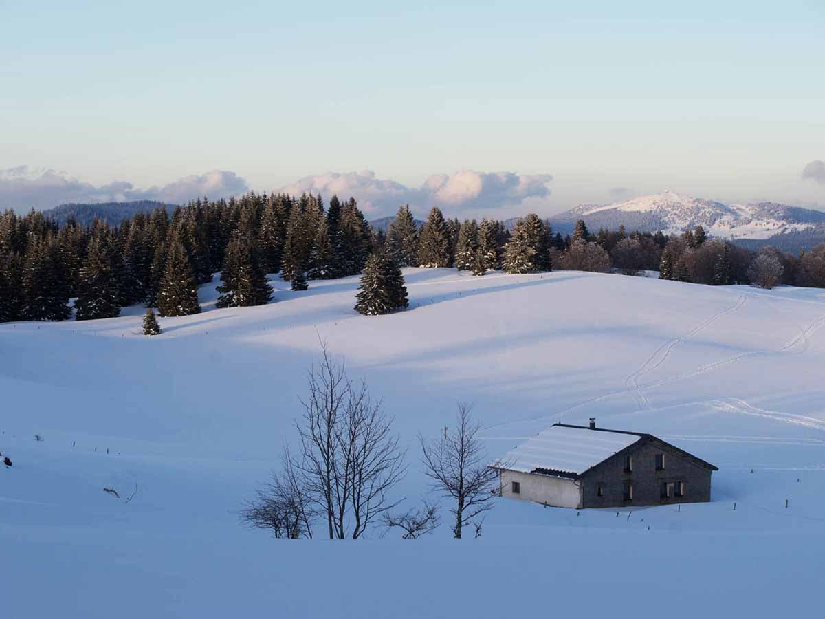 L'hiver sous la neige