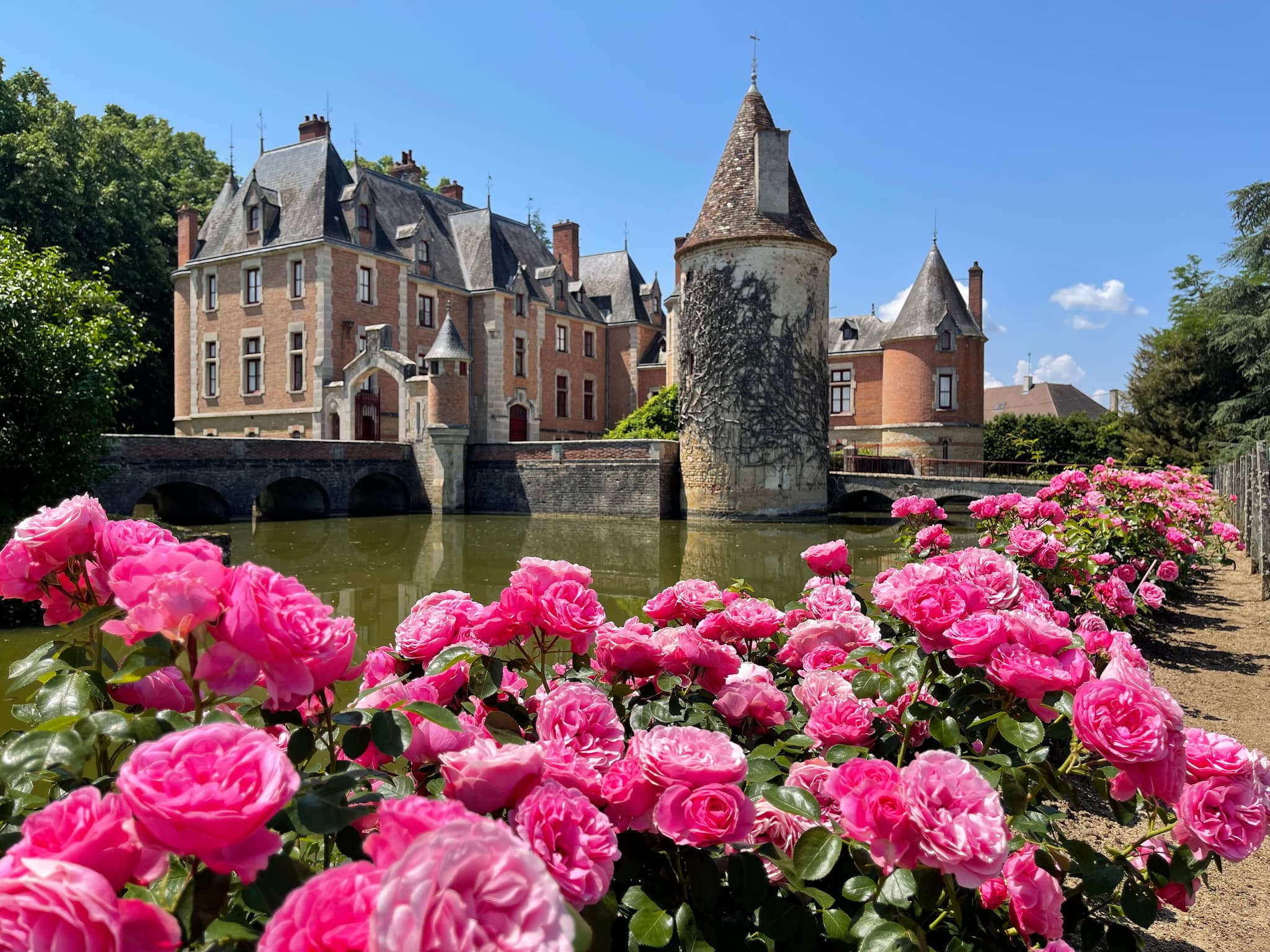 Le château de Saint-Germain-lès-Buxy. Douves bordées de roses