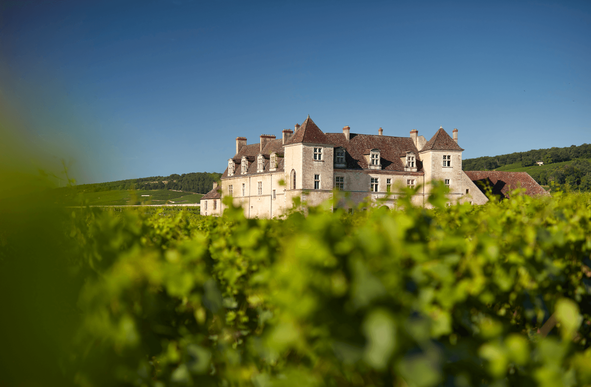 Le Château du Clos de Vougeot
