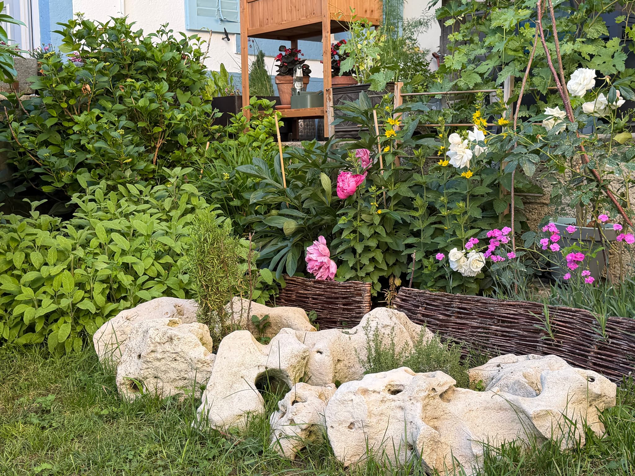 Logis des pinces maillées - jardin