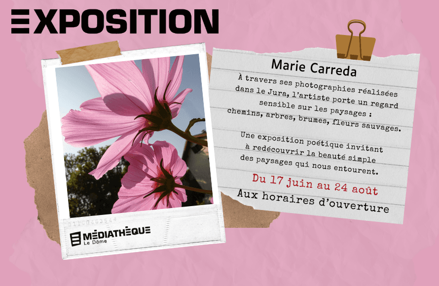 Médiathèque Le Dôme : Exposition