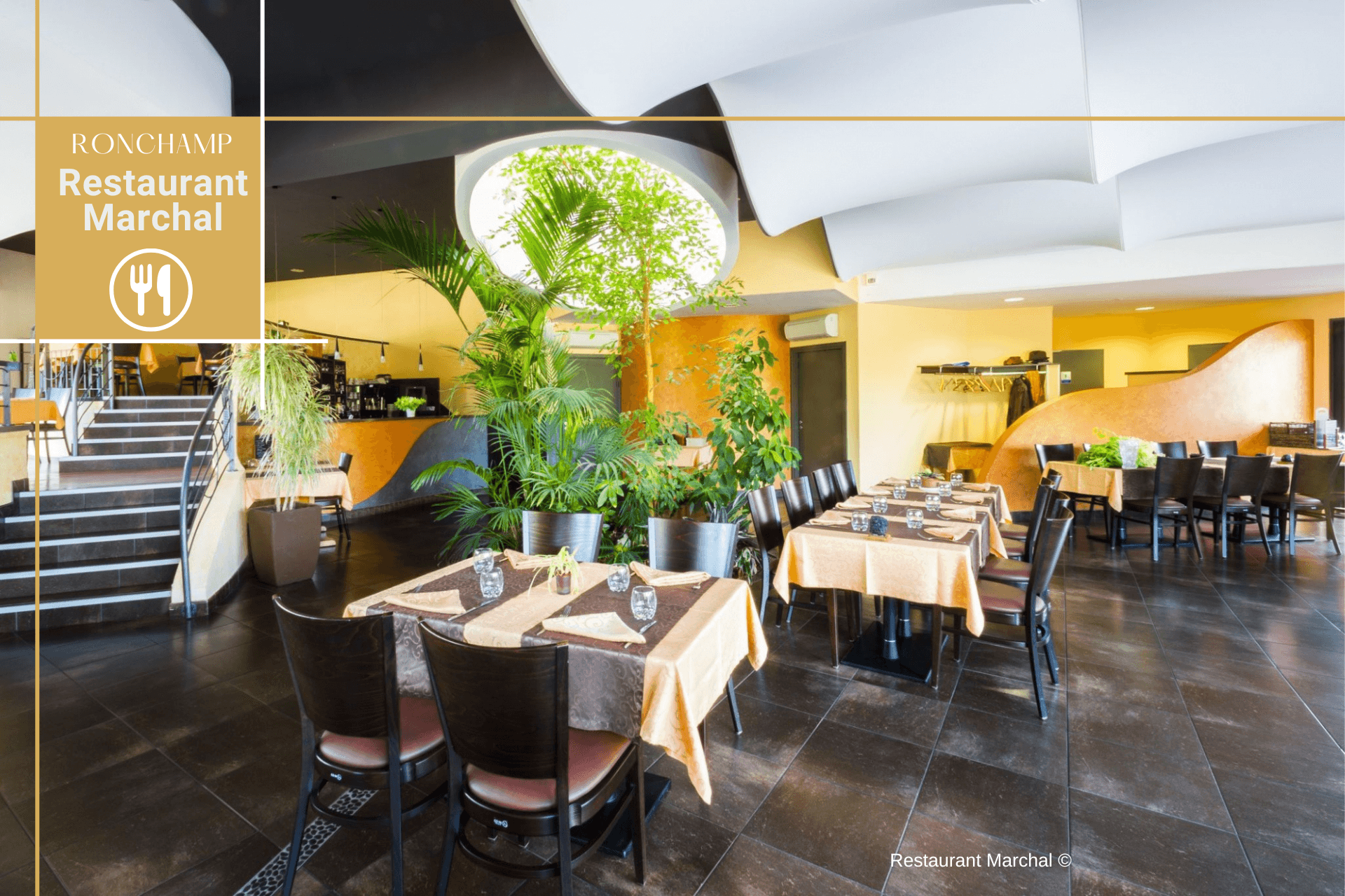 Restaurant Marchal 2023 canva