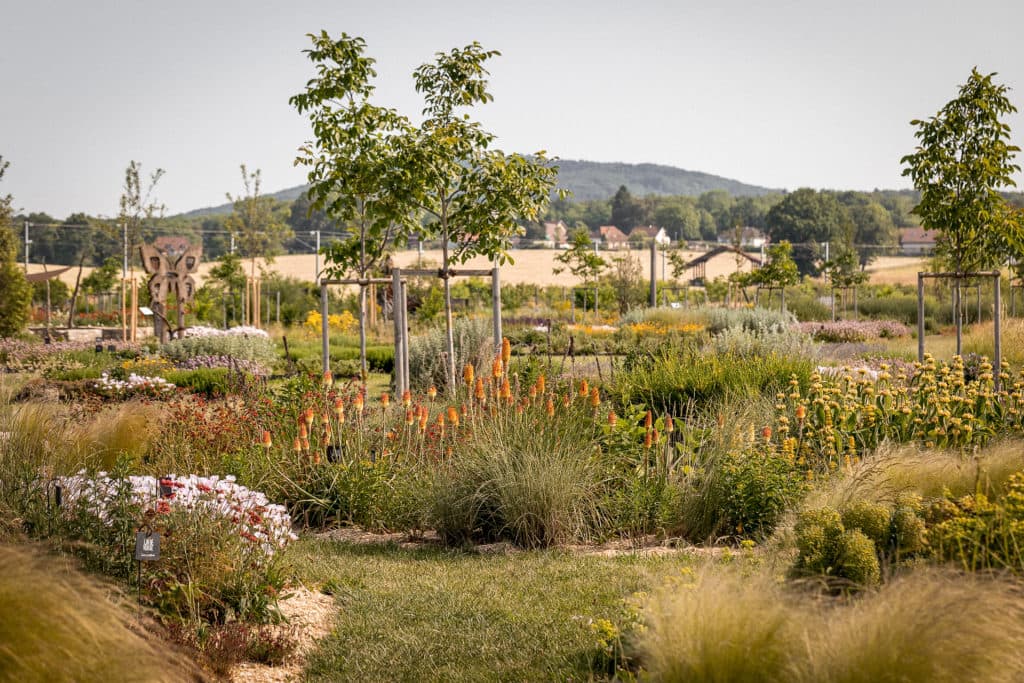 Saline royale Jardin 2023