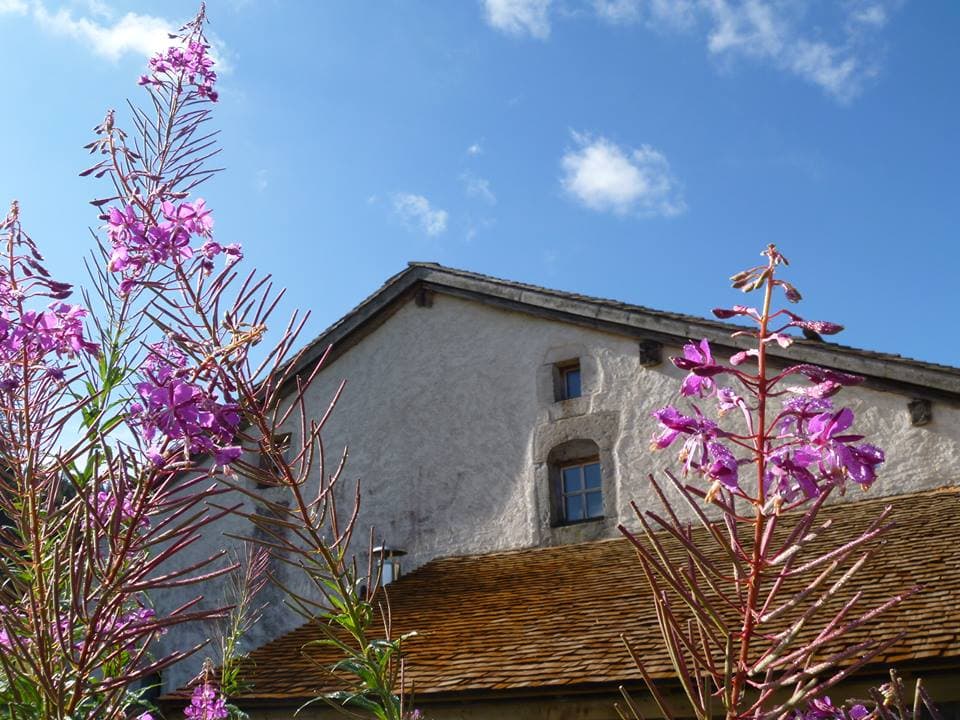 pignon nord Maison Michaud