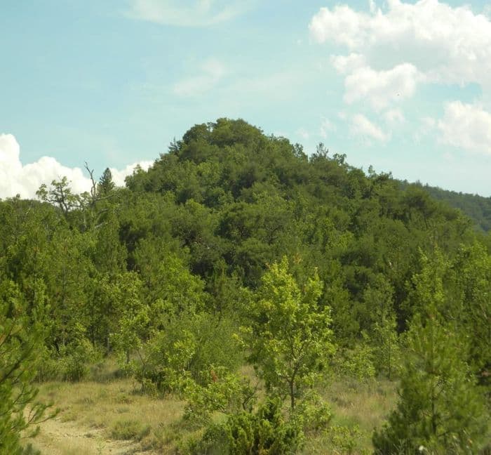 visite guidée de la motte castrale de Mallefougasse