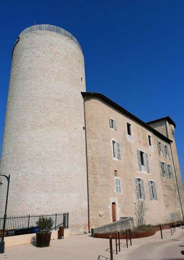 Visites guidées au château des Tours