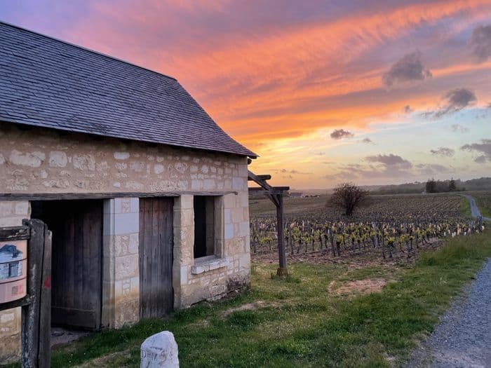 À la découverte de la double vie du coteau, de la loge de vigne des Marquises et du Conservatoire des variétés anciennes du Bourgueillois.