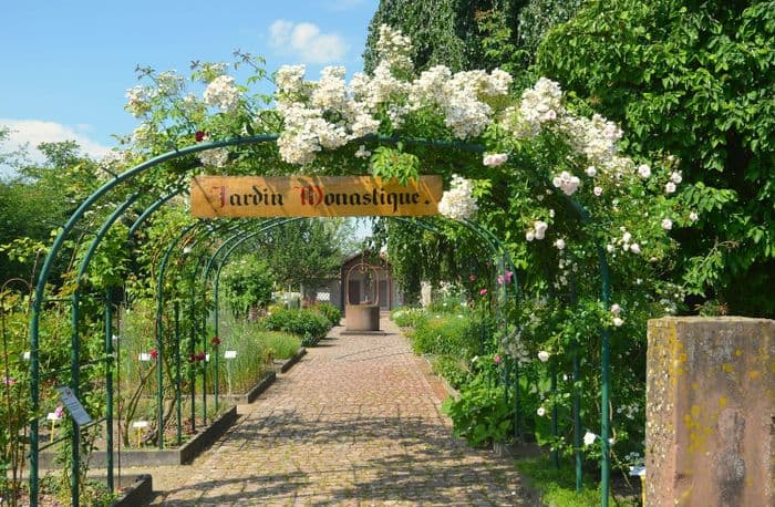Visite du jardin monastique de Saint-Trophime