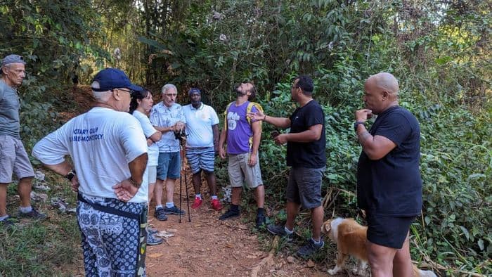 Balade ethnobotanique – À la découverte des plantes utiles