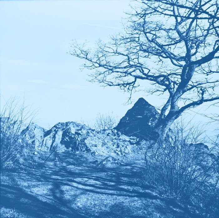 Atelier de cyanotype - photographies d'archives !