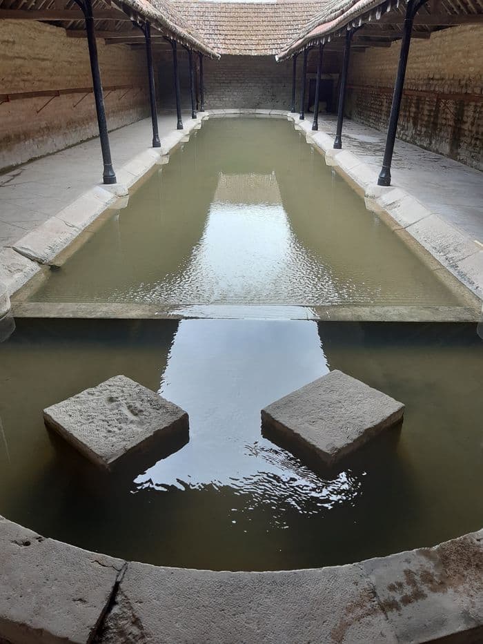 Visite du lavoir de Dannemoine